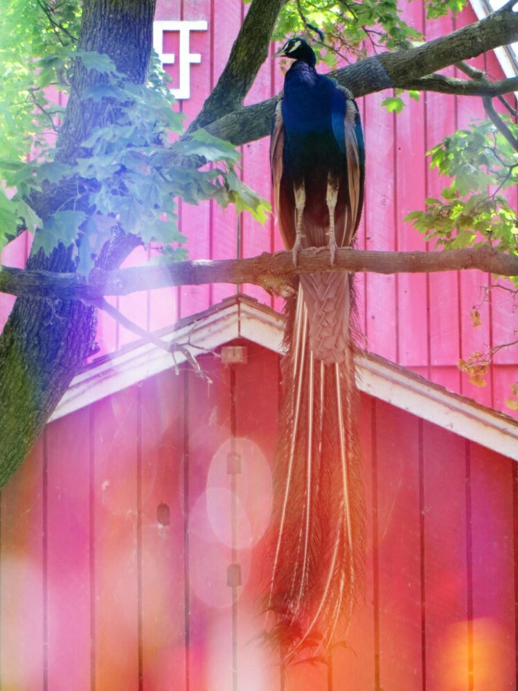 The day before&nbsp;tomorrow