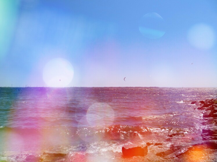 Kingston, Frozen yoghurt