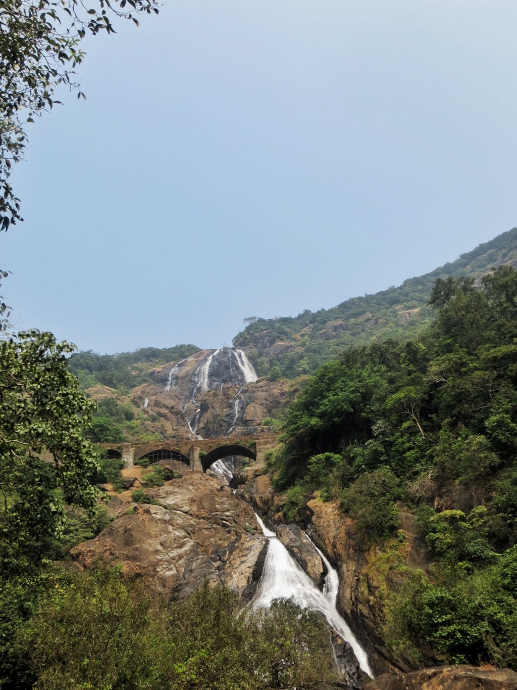 Sahakari spice farm – Dudhsagar falls – Old Goa&nbsp;[foto]