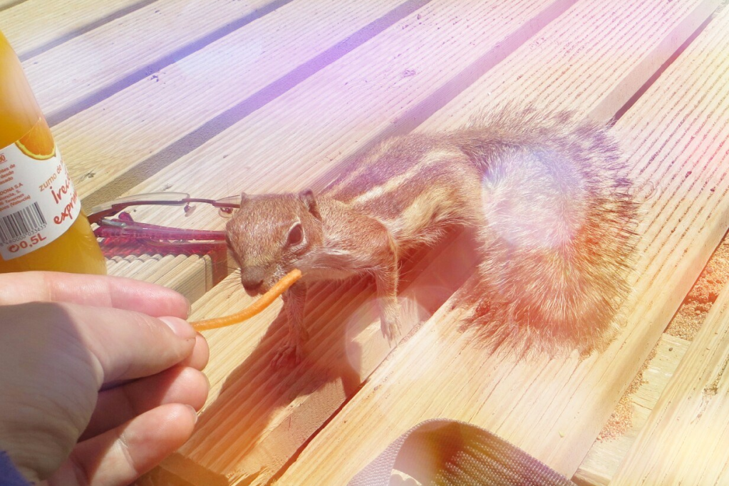 Costa de Antigua –&nbsp;Manchester