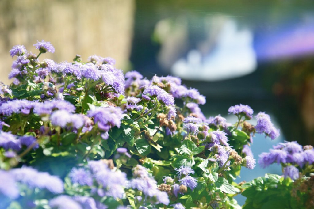 Cordoba → Seville