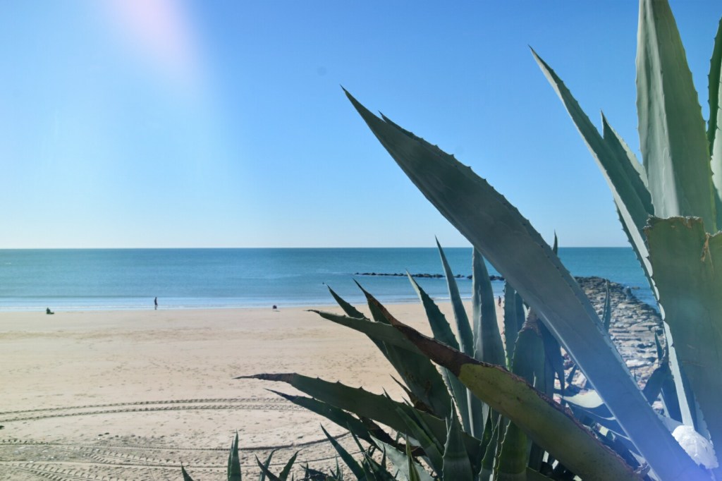 Seville → Vejer de la&nbsp;frontera