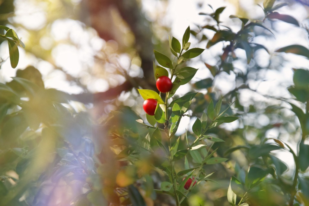 Ko iegūt no Barselonas februārī?&nbsp;[II]