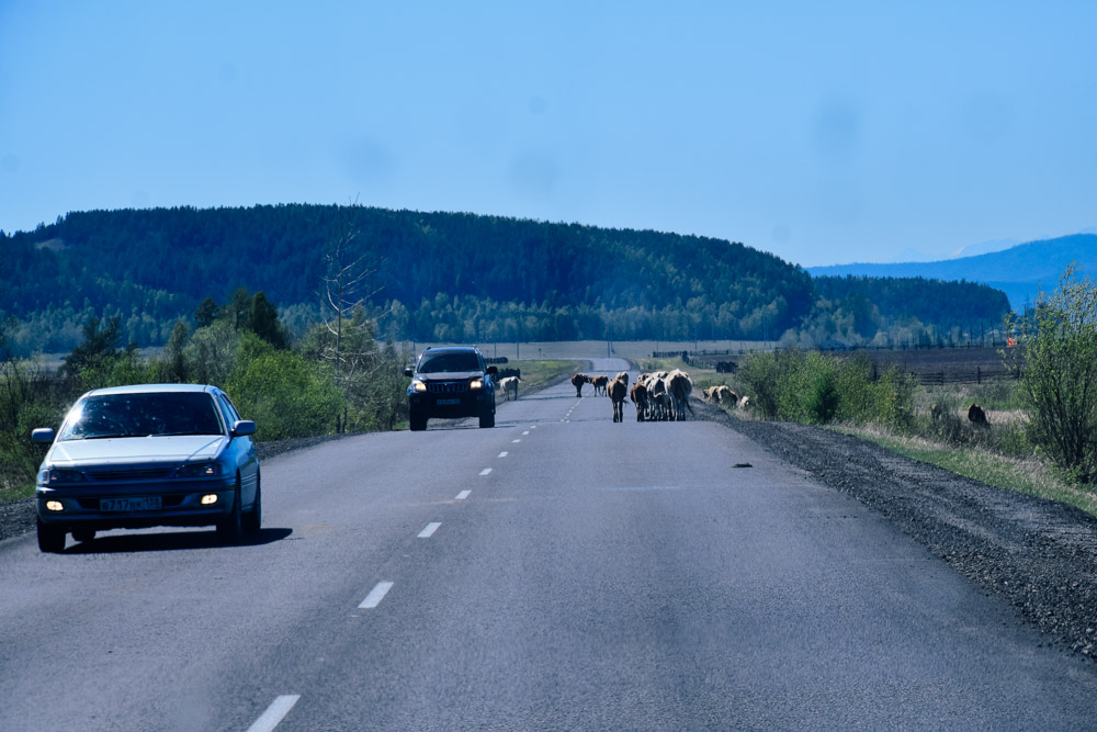 Baikāla piezīmes II