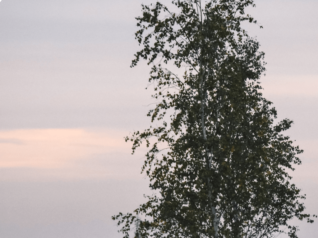 PURVA DIENASGRĀMATA