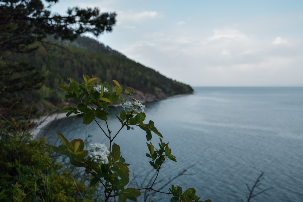 Baikāla piezīmes V