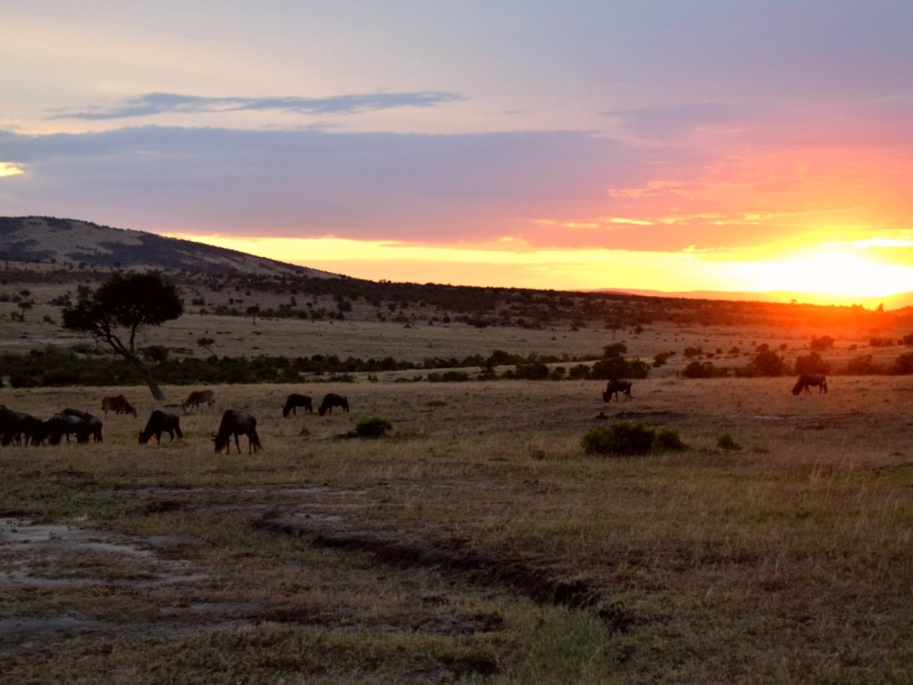 ĀFRIKA – sapņu ceļojums