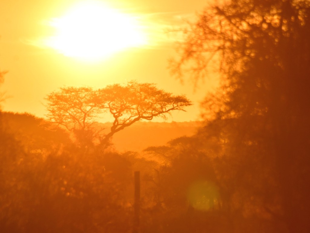 Āfrika – Kenijas noslēgums