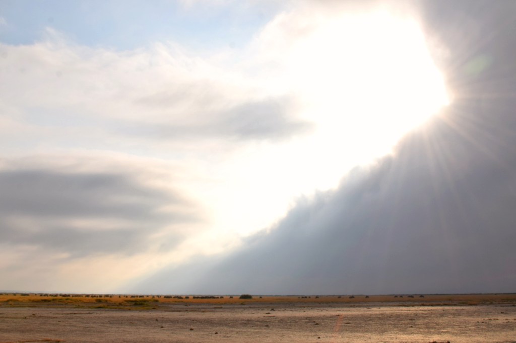 Āfrika – Tanzānijas tveice